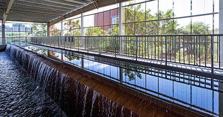 The role of coagulants